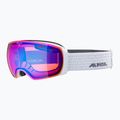 Маска лижна Alpina Granby Q-Lite white gloss/blue sph 6