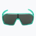 Окуляри сонцезахисні Alpina Bonfire turquoise matt/green 2