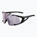 Окуляри сонцезахисні Alpina Hawkeye Q-Lite V black matt/purple 5