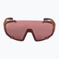 Окуляри сонцезахисні Alpina Hawkeye Q-Lite brick matt/black red mirror 2