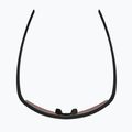 Окуляри сонцезахисні Alpina Eagle Q-Lite black matt/red mirror 4