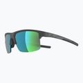 Окуляри сонцезахисні Alpina Eagle Q-Lite midnight/grey matt/green 3