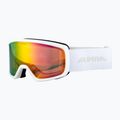 Окуляри лижні Alpina Narkoja 2 Q-Lite white matt/pink s2