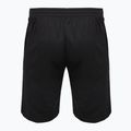 Шорти VICTOR 4866 black 2