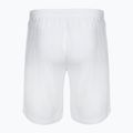 Шорти VICTOR 4866 white 2