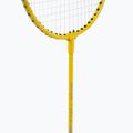 Набір для бадмінтону VICFUN Complete yellow 5