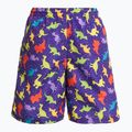 Шорти для плавання дитячі Fashy 26837 Small Boys