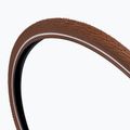 Шина велосипедна SCHWALBE Road Cruiser K-Guard SBC 28 x 1.75 coffee reflex 2