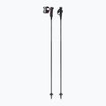 Палиці лижні LEKI Carbon 12 TR black