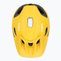 Шолом велосипедний UVEX Quatro Integrale sunbee/black 6