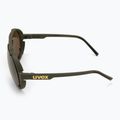 Окуляри сонцезахисні UVEX Esntl Pina moss green matt/mirror gold 4