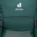 Рюкзак туристичний жіночий deuter Futura 30 l SL forest/jade 5