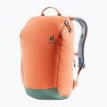 Рюкзак міський Deuter StepOut 16 l chestnut/ivy 2