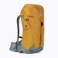 Рюкзак туристичний жіночий Deuter AC Lite 22 l SL cinnamon/teal 2