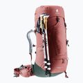 Рюкзак трекінговий жіночий Deuter Aircontact Lite 45 + 10 l SL caspia/ivy 7