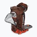 Рюкзак для скітуру Deuter Freescape Pro 40+ l umbra/papaya 4