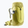 Жіночий туристичний рюкзак deuter AC Lite 22 l SL sprout / липа 5