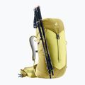 Жіночий туристичний рюкзак deuter AC Lite 22 l SL sprout / липа 6