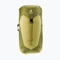 Туристичний рюкзак deuter AC Lite 24 л лінден/кактус