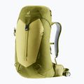 Туристичний рюкзак deuter AC Lite 24 л лінден/кактус 4