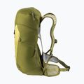 Туристичний рюкзак deuter AC Lite 24 л лінден/кактус 5