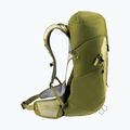 Туристичний рюкзак deuter AC Lite 24 л лінден/кактус 6