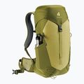 Туристичний рюкзак deuter AC Lite 24 л лінден/кактус 8