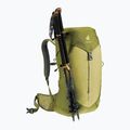 Туристичний рюкзак deuter AC Lite 24 л лінден/кактус 9