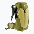 Туристичний рюкзак deuter AC Lite 24 л лінден/кактус 10