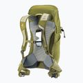 Туристичний рюкзак deuter AC Lite 24 л лінден/кактус 13