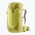 Жіночий туристичний рюкзак deuter AC Lite 28 l SL sprout / липа 2