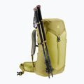 Жіночий туристичний рюкзак deuter AC Lite 28 l SL sprout / липа 10
