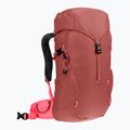 Дитячий туристичний рюкзак Deuter Climber 22 л червоне дерево/гібіскус 2