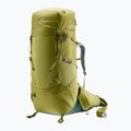 Трекінговий рюкзак Deuter Aircontact Core 70+10 л кактус/плющ 2