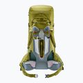 Трекінговий рюкзак Deuter Aircontact Core 70+10 л кактус/плющ 3