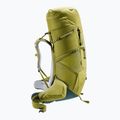 Трекінговий рюкзак Deuter Aircontact Core 70+10 л кактус/плющ 5