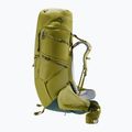Трекінговий рюкзак Deuter Aircontact Core 70+10 л кактус/плющ 6
