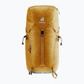 Рюкзак туристичний deuter Trail 24 l almond/deepsea