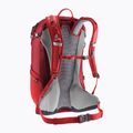 Рюкзак туристичний deuter Futura 23 л masala-cherry 13