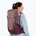Туристичний рюкзак deuter Futura 24 l SL ash rose/cassis 13