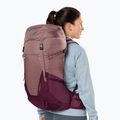 Рюкзак туристичний жіночий deuter Futura 30 л SL ashrose-cassis 11