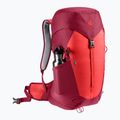 Туристичний рюкзак deuter AC Lite 30 л cherry/masala 8
