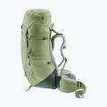 Рюкзак трекінговий жіночий deuter Aircontact Lite 45 + 10 SL grove/ivy 6