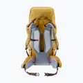 Трекінговий рюкзак Deuter Aircontact Ultra 50 + 5 л савана-родзинки 2