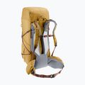 Трекінговий рюкзак Deuter Aircontact Ultra 50 + 5 л савана-родзинки 5