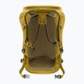 Туристичний рюкзак deuter Walker 24 л kelp 3