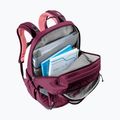 Рюкзак міський deuter Cotogy 28 l cassis/dahlia 11