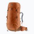 Рюкзак трекінговий жіночий deuter Aircontact Lite 45 + 10 л SL pecan/mocha 2