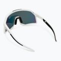 Окуляри сонцезахисні DYNAFIT Trail Evo white/black 2