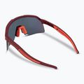 Сонцезахисні окуляри DYNAFIT Ultra Evo burgundy/hot coral 2
